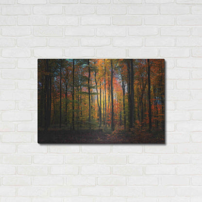 Luxe Metal Art 'Crayons de Couleur' by Philippe Sainte-Laudy, Metal Wall Art,36x24