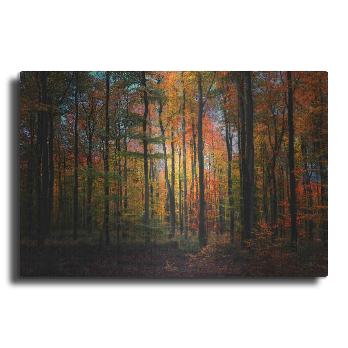 Luxe Metal Art 'Crayons de Couleur' by Philippe Sainte-Laudy, Metal Wall Art