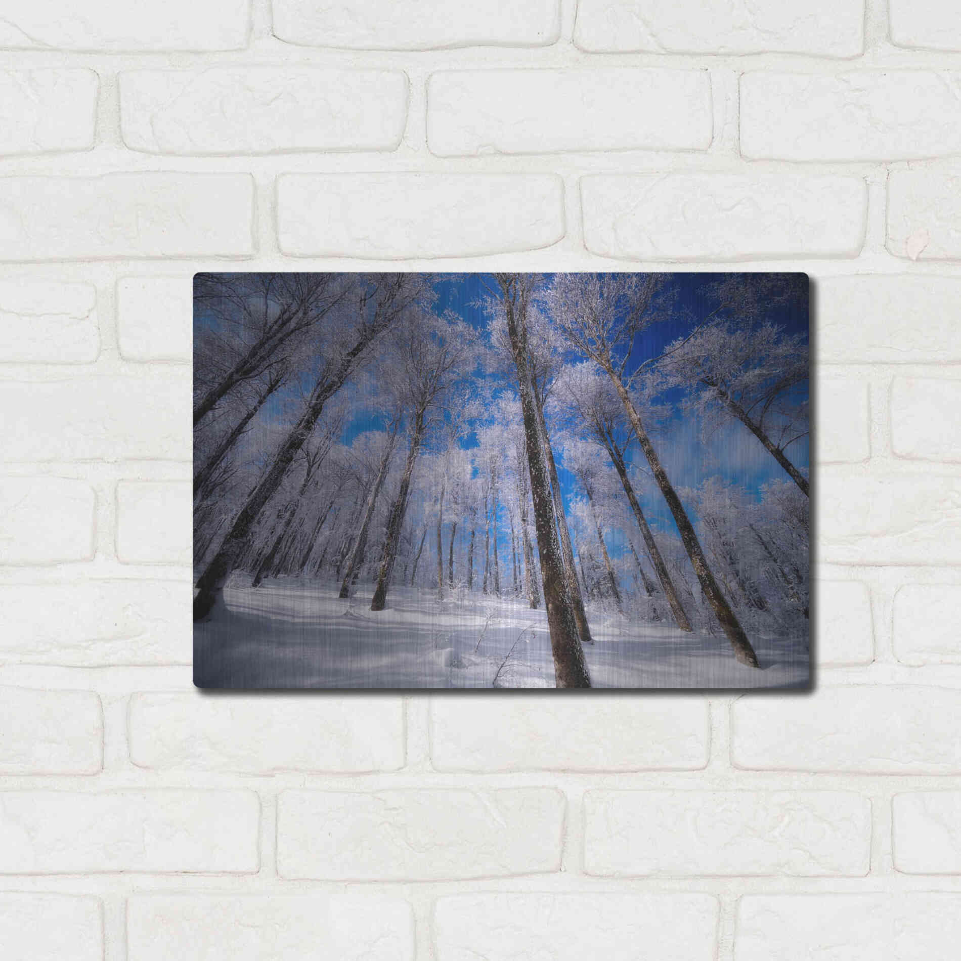 Luxe Metal Art 'Crystal Vision' by Philippe Sainte-Laudy, Metal Wall Art,16x12