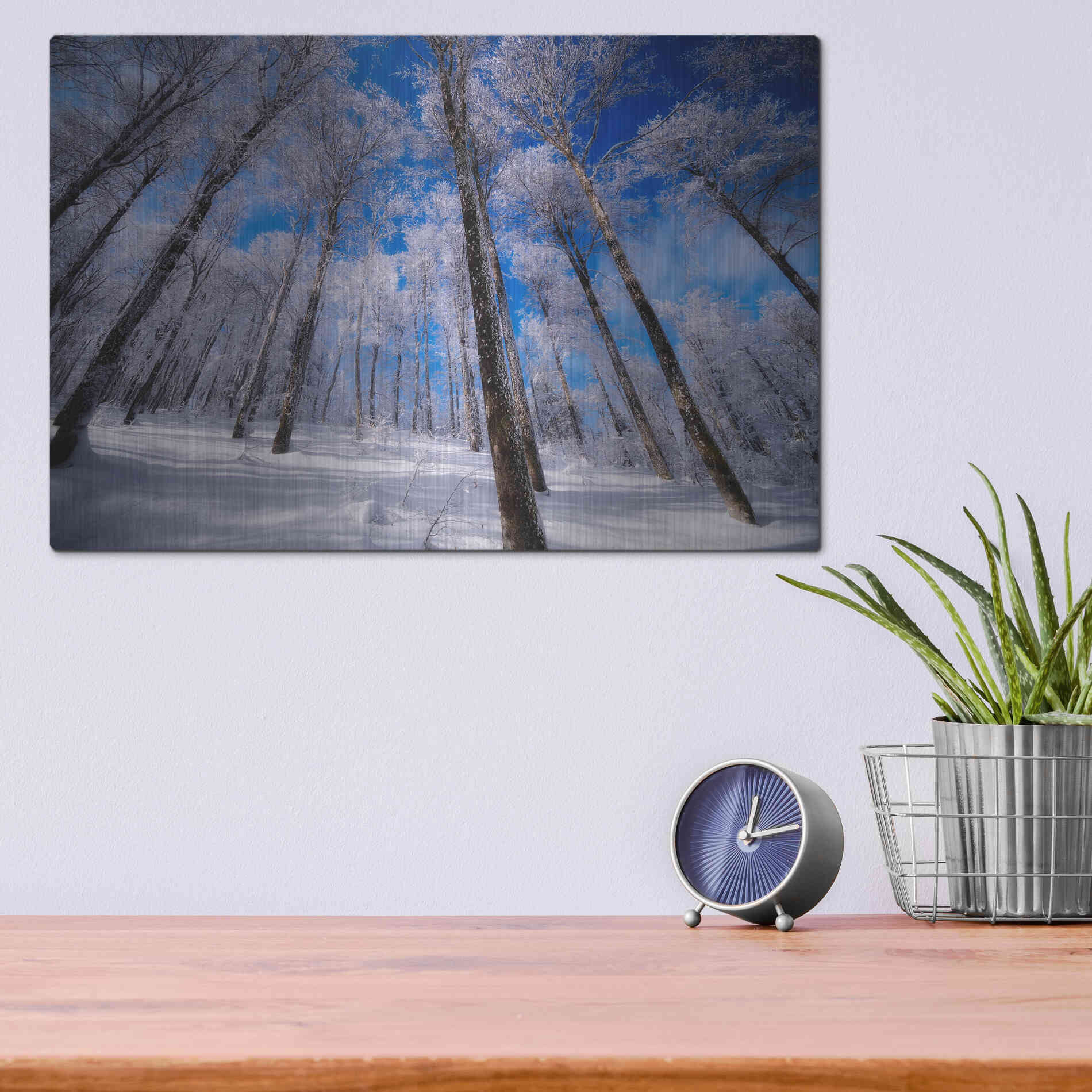 Luxe Metal Art 'Crystal Vision' by Philippe Sainte-Laudy, Metal Wall Art,16x12