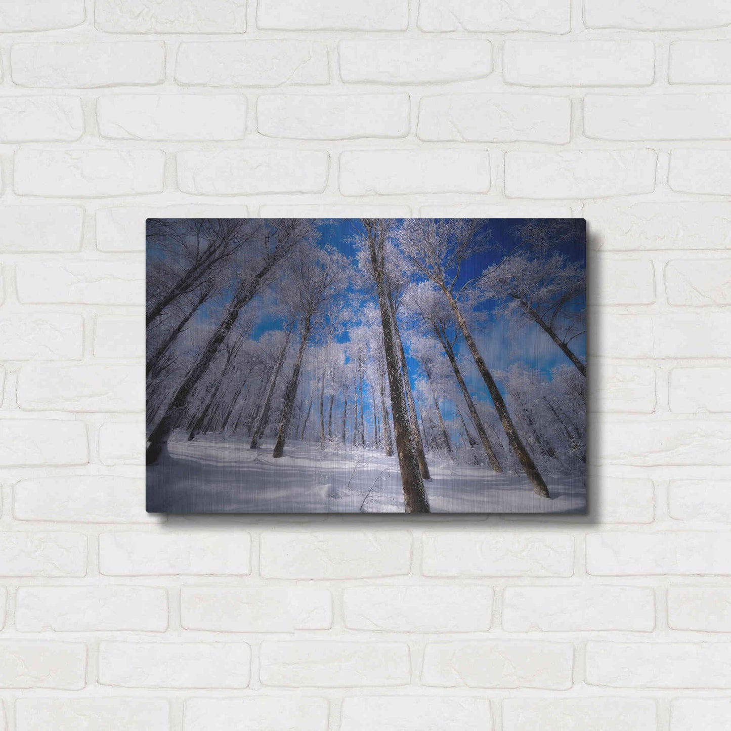 Luxe Metal Art 'Crystal Vision' by Philippe Sainte-Laudy, Metal Wall Art,24x16