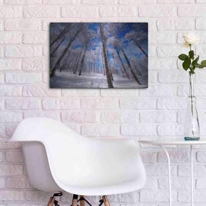 Luxe Metal Art 'Crystal Vision' by Philippe Sainte-Laudy, Metal Wall Art,24x16