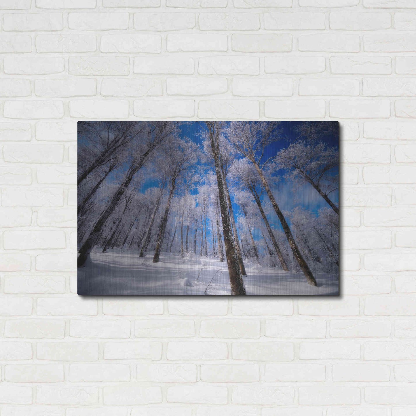 Luxe Metal Art 'Crystal Vision' by Philippe Sainte-Laudy, Metal Wall Art,36x24