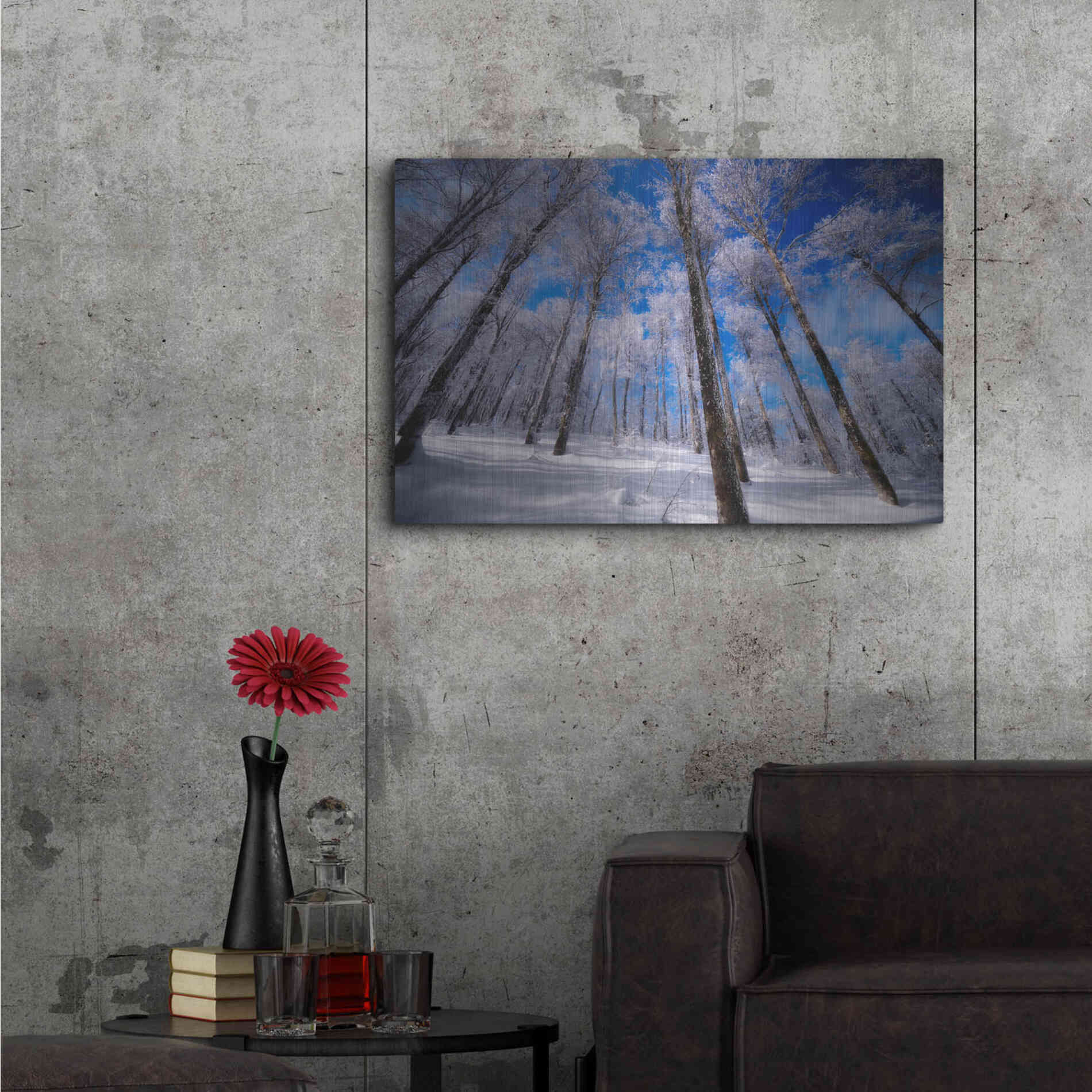 Luxe Metal Art 'Crystal Vision' by Philippe Sainte-Laudy, Metal Wall Art,36x24