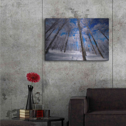 Luxe Metal Art 'Crystal Vision' by Philippe Sainte-Laudy, Metal Wall Art,36x24