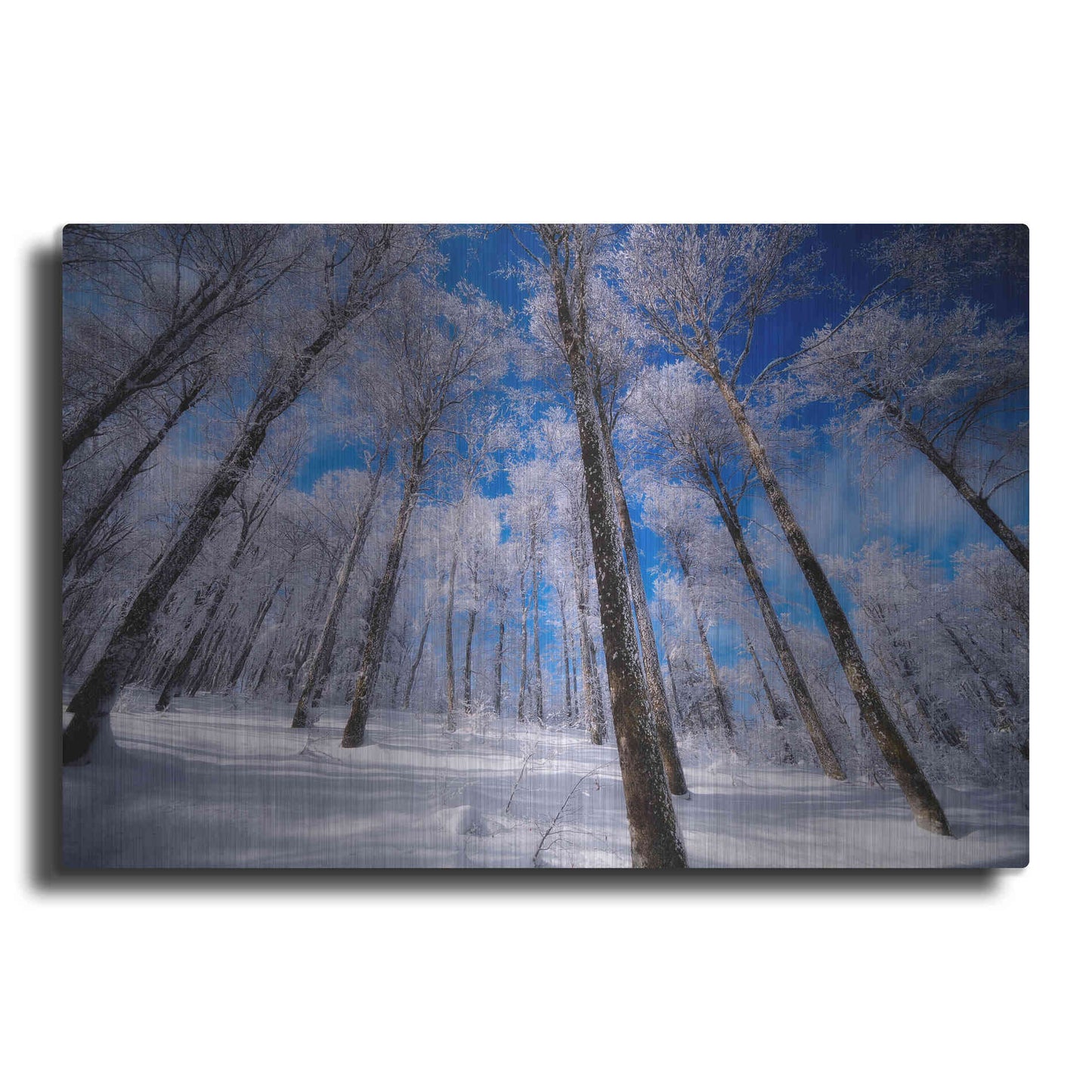 Luxe Metal Art 'Crystal Vision' by Philippe Sainte-Laudy, Metal Wall Art