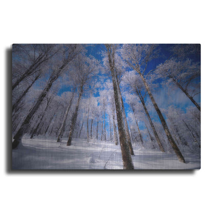 Luxe Metal Art 'Crystal Vision' by Philippe Sainte-Laudy, Metal Wall Art