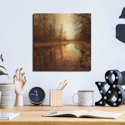 Luxe Metal Art 'Floating Down The River' by Philippe Sainte-Laudy, Metal Wall Art,12x12