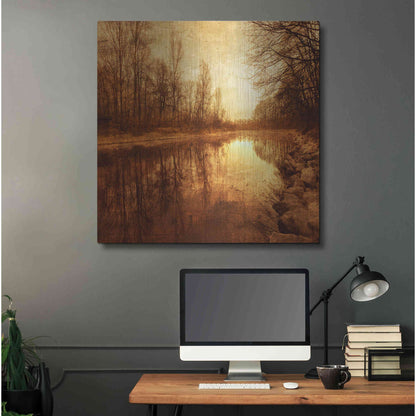 Luxe Metal Art 'Floating Down The River' by Philippe Sainte-Laudy, Metal Wall Art,36x36