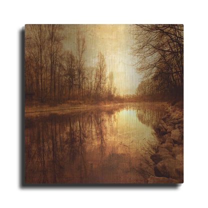 Luxe Metal Art 'Floating Down The River' by Philippe Sainte-Laudy, Metal Wall Art