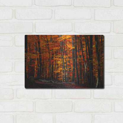 Luxe Metal Art 'Forest Density' by Philippe Sainte-Laudy, Metal Wall Art,16x12