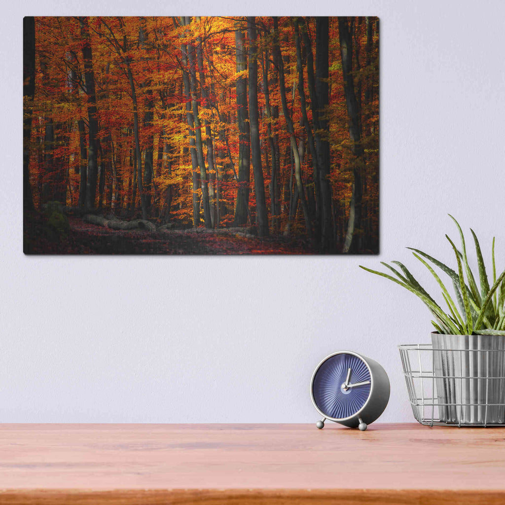 Luxe Metal Art 'Forest Density' by Philippe Sainte-Laudy, Metal Wall Art,16x12