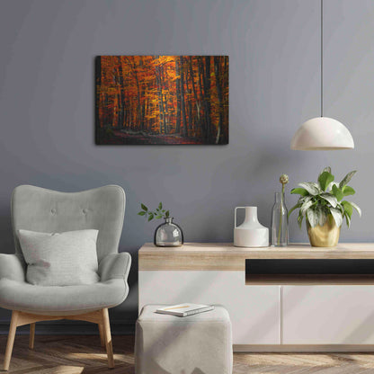 Luxe Metal Art 'Forest Density' by Philippe Sainte-Laudy, Metal Wall Art,24x16