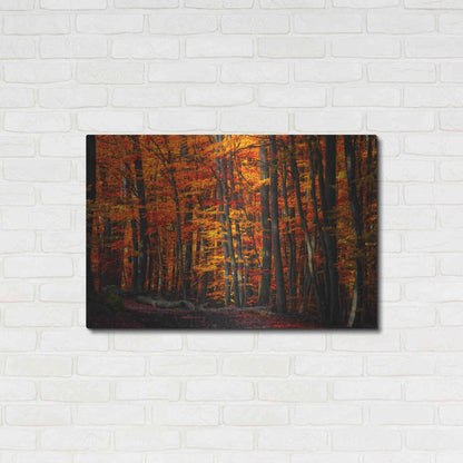 Luxe Metal Art 'Forest Density' by Philippe Sainte-Laudy, Metal Wall Art,36x24