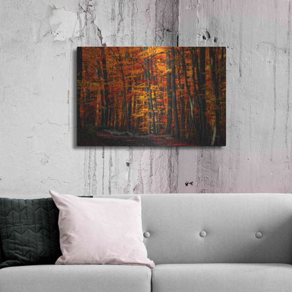 Luxe Metal Art 'Forest Density' by Philippe Sainte-Laudy, Metal Wall Art,36x24