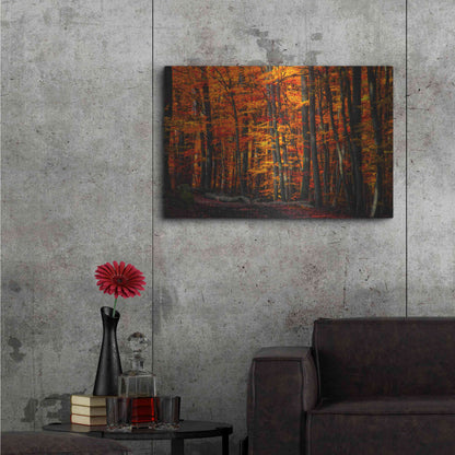 Luxe Metal Art 'Forest Density' by Philippe Sainte-Laudy, Metal Wall Art,36x24