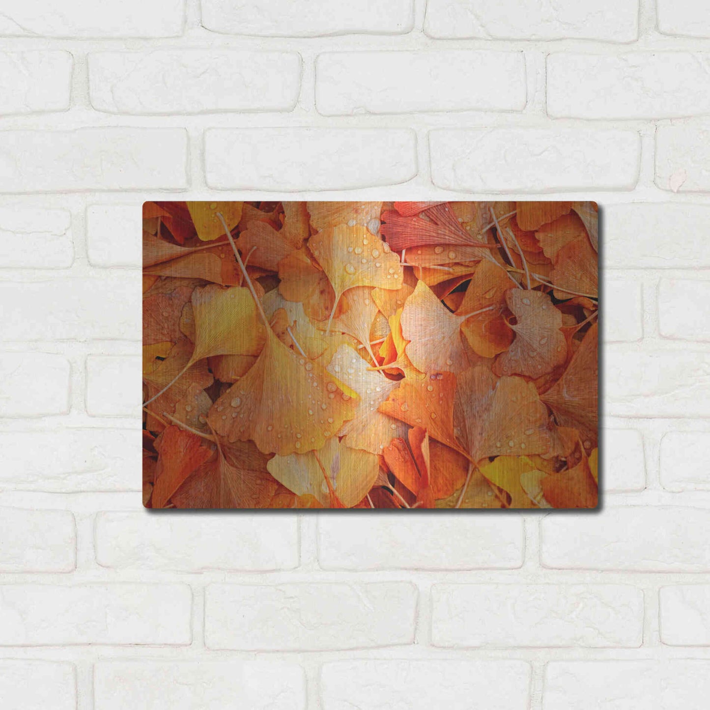 Luxe Metal Art 'Ginkgo Fall' by Philippe Sainte-Laudy, Metal Wall Art,16x12