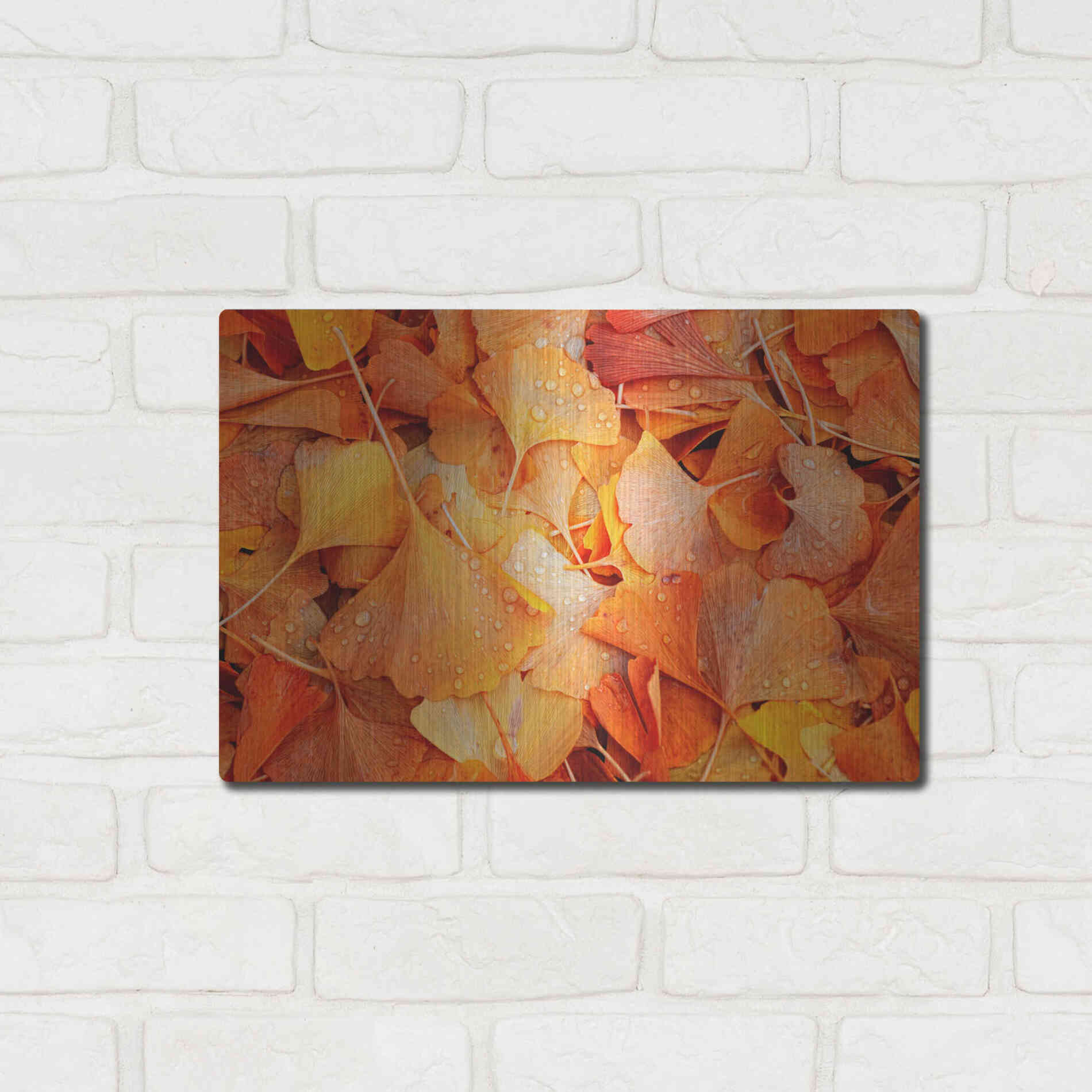 Luxe Metal Art 'Ginkgo Fall' by Philippe Sainte-Laudy, Metal Wall Art,16x12