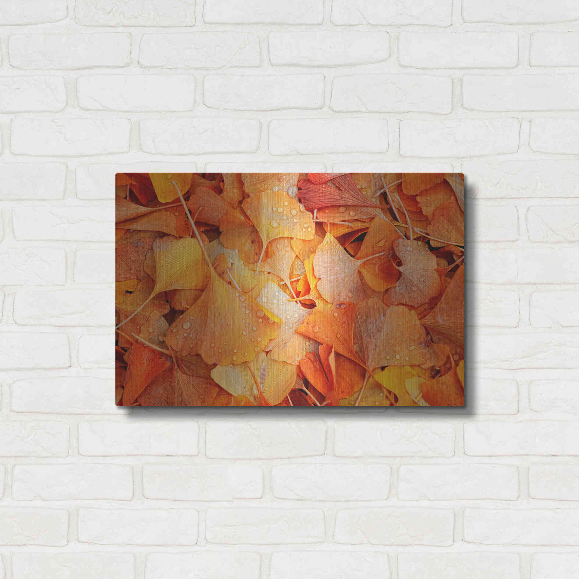 Luxe Metal Art 'Ginkgo Fall' by Philippe Sainte-Laudy, Metal Wall Art,24x16