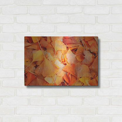 Luxe Metal Art 'Ginkgo Fall' by Philippe Sainte-Laudy, Metal Wall Art,24x16