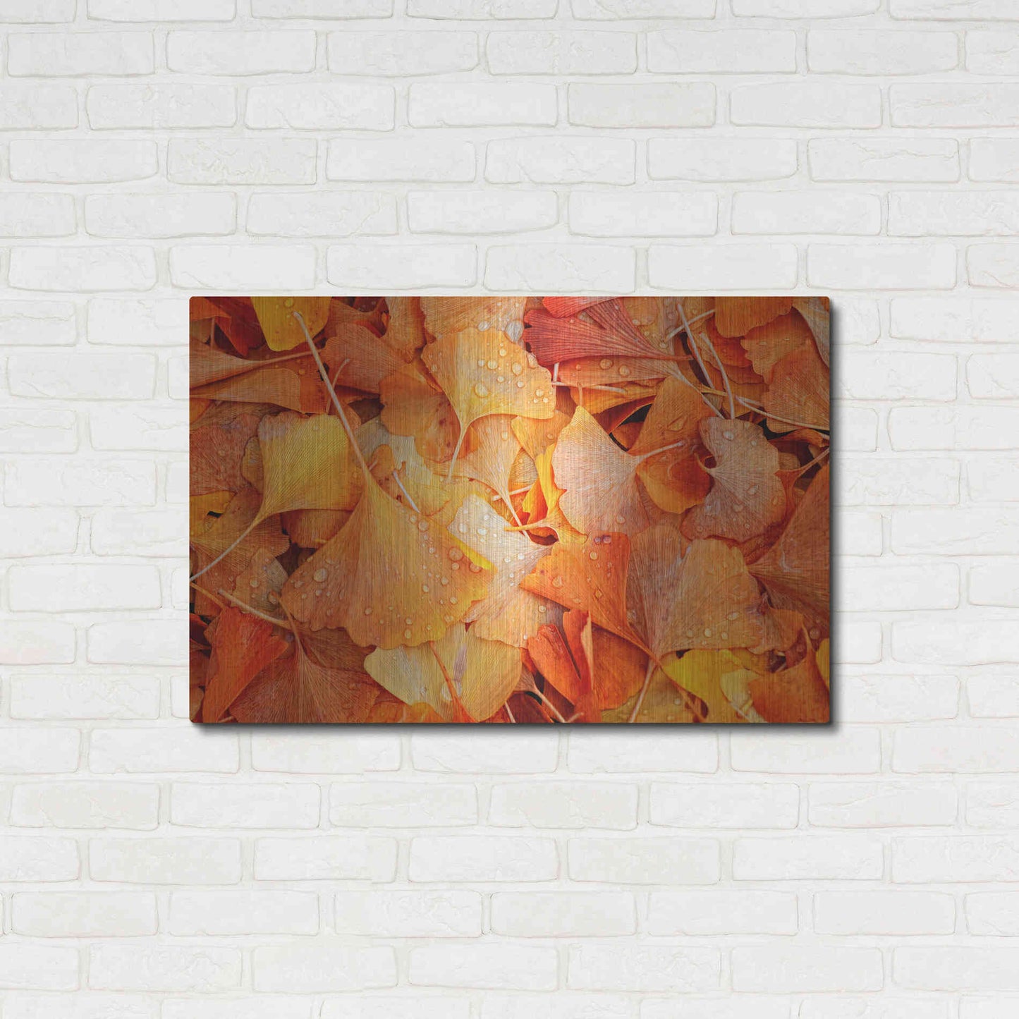 Luxe Metal Art 'Ginkgo Fall' by Philippe Sainte-Laudy, Metal Wall Art,36x24