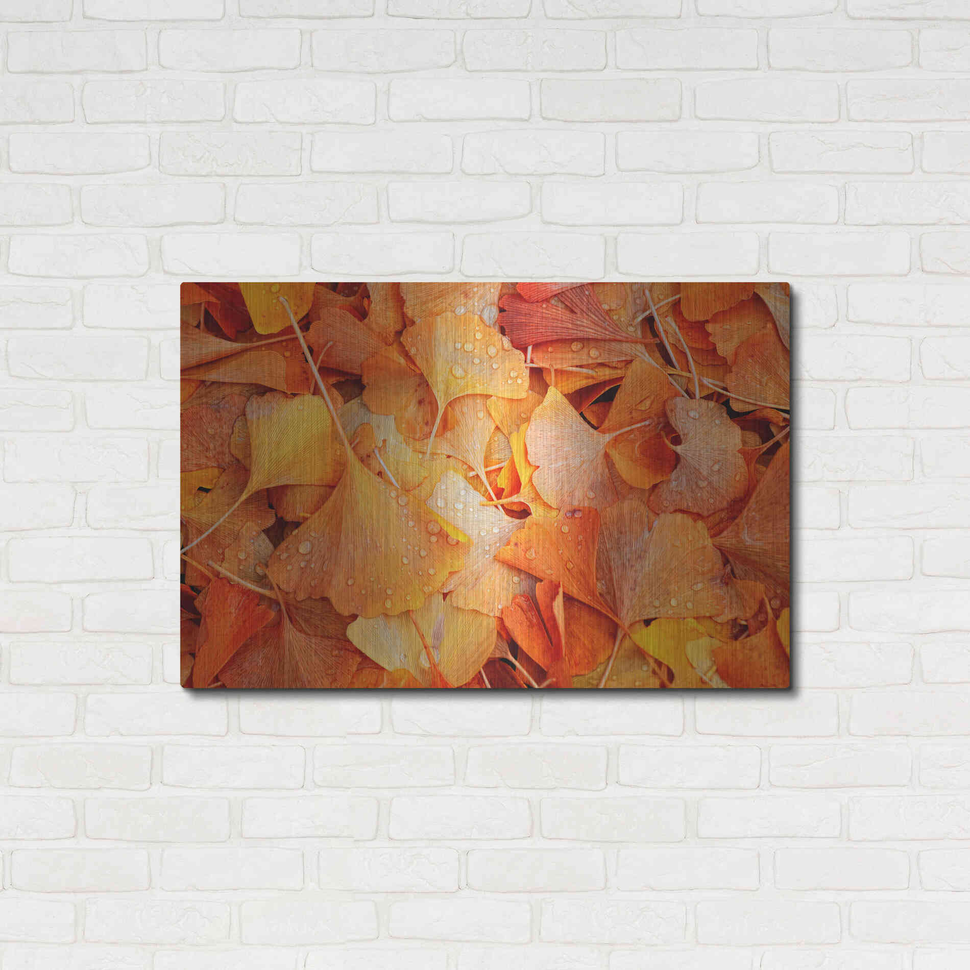 Luxe Metal Art 'Ginkgo Fall' by Philippe Sainte-Laudy, Metal Wall Art,36x24