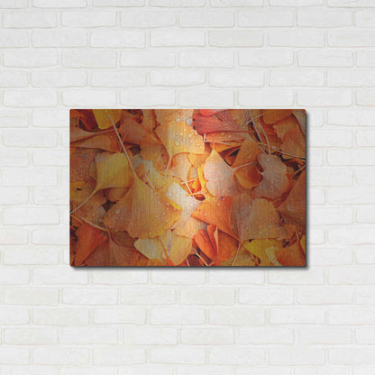 Luxe Metal Art 'Ginkgo Fall' by Philippe Sainte-Laudy, Metal Wall Art,36x24