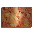 Luxe Metal Art 'Ginkgo Fall' by Philippe Sainte-Laudy, Metal Wall Art