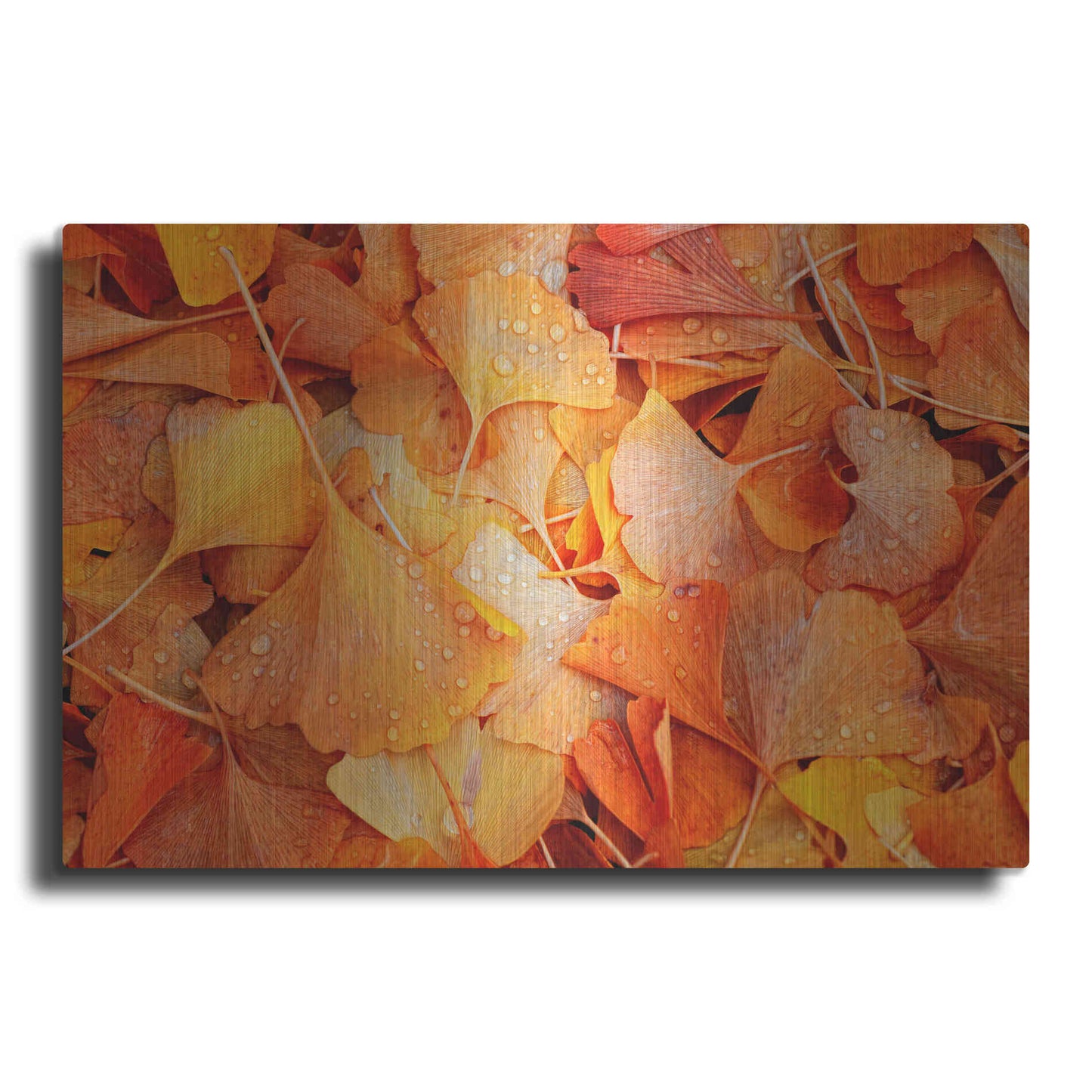Luxe Metal Art 'Ginkgo Fall' by Philippe Sainte-Laudy, Metal Wall Art