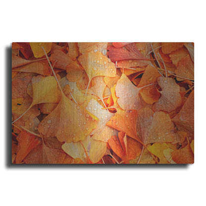 Luxe Metal Art 'Ginkgo Fall' by Philippe Sainte-Laudy, Metal Wall Art