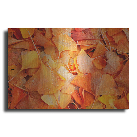 Luxe Metal Art 'Ginkgo Fall' by Philippe Sainte-Laudy, Metal Wall Art