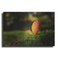 Luxe Metal Art 'Leaf and Ant' by Philippe Sainte-Laudy, Metal Wall Art