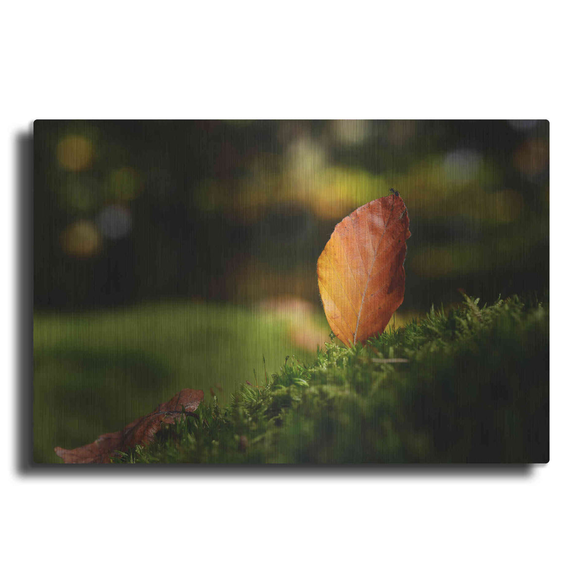Luxe Metal Art 'Leaf and Ant' by Philippe Sainte-Laudy, Metal Wall Art
