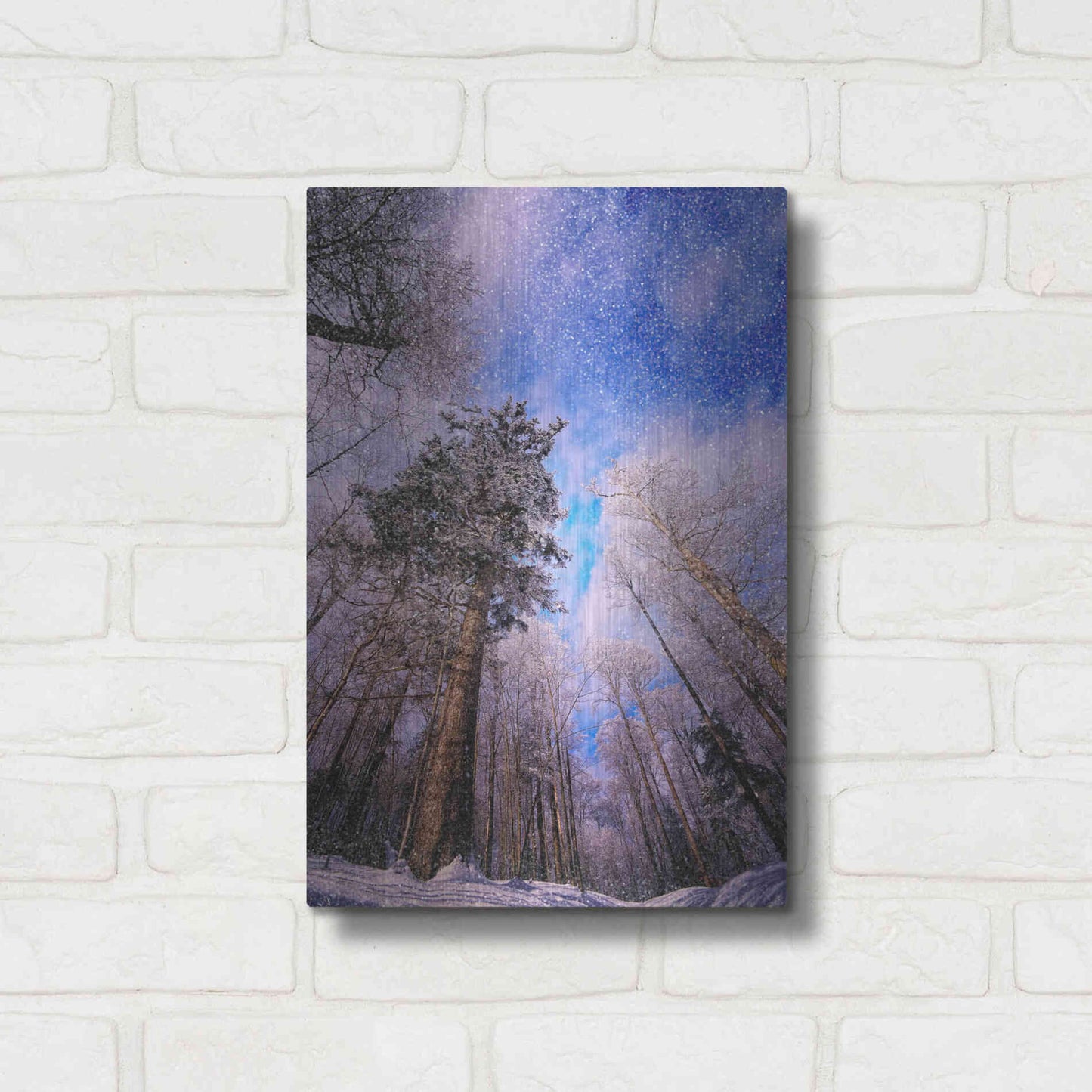 Luxe Metal Art 'Let it snow' by Philippe Sainte-Laudy, Metal Wall Art,12x16