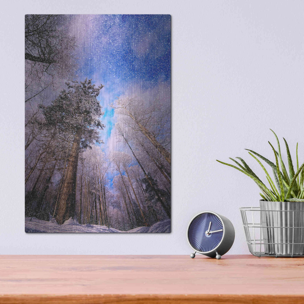 Luxe Metal Art 'Let it snow' by Philippe Sainte-Laudy, Metal Wall Art,12x16