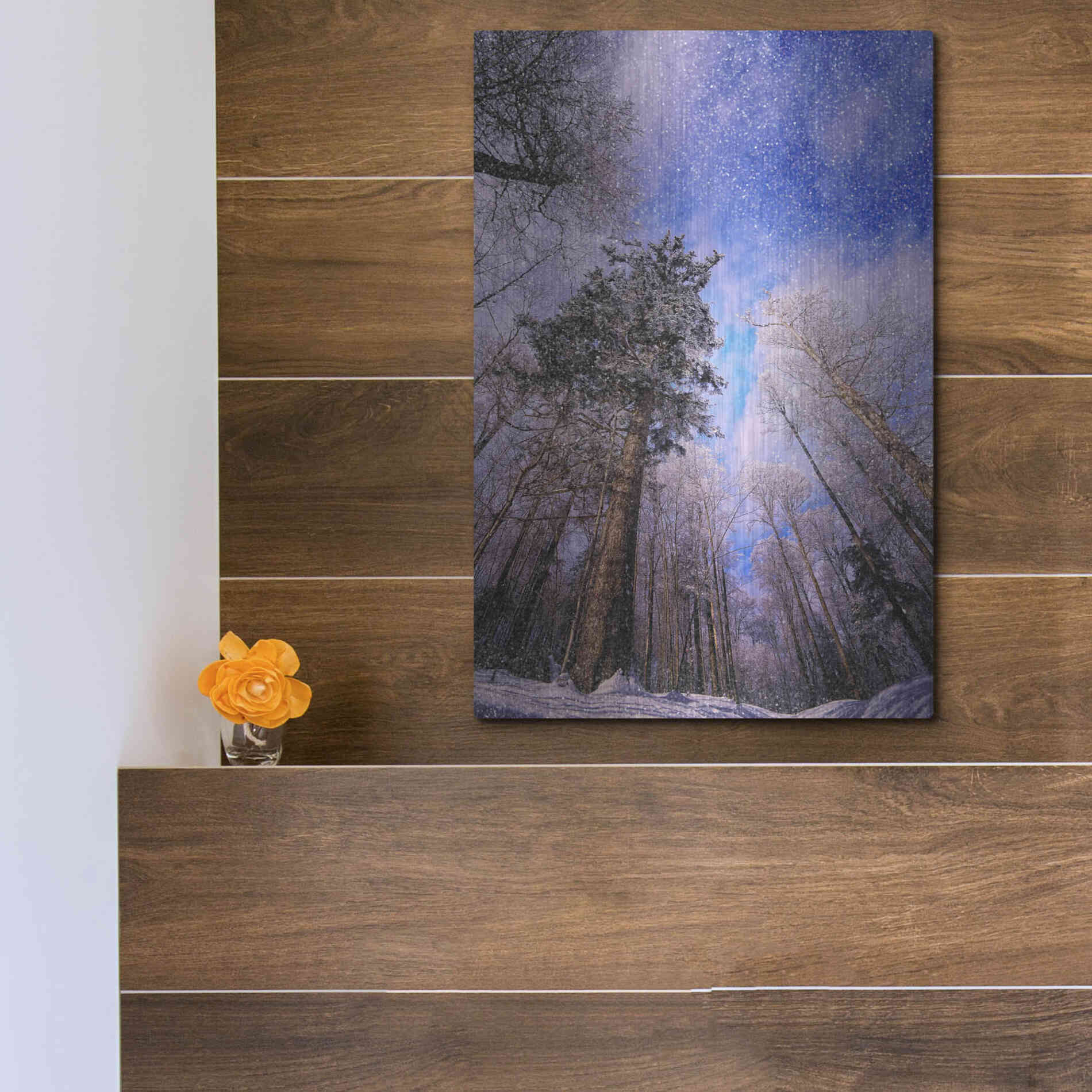 Luxe Metal Art 'Let it snow' by Philippe Sainte-Laudy, Metal Wall Art,12x16