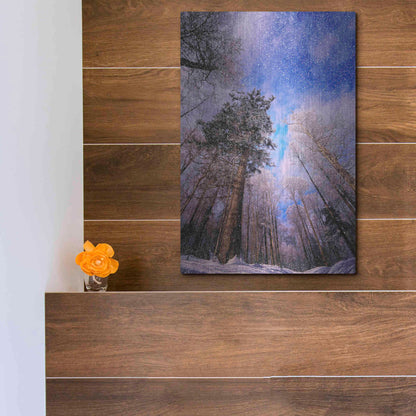 Luxe Metal Art 'Let it snow' by Philippe Sainte-Laudy, Metal Wall Art,12x16