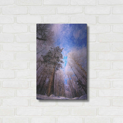 Luxe Metal Art 'Let it snow' by Philippe Sainte-Laudy, Metal Wall Art,16x24