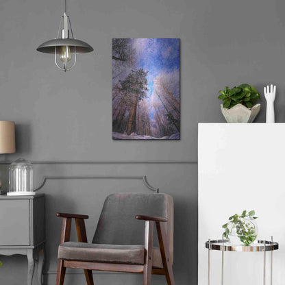 Luxe Metal Art 'Let it snow' by Philippe Sainte-Laudy, Metal Wall Art,16x24