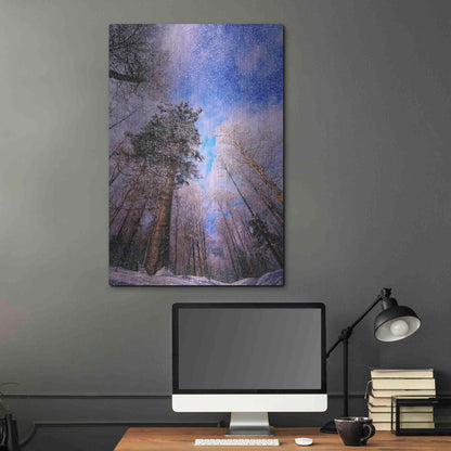 Luxe Metal Art 'Let it snow' by Philippe Sainte-Laudy, Metal Wall Art,24x36