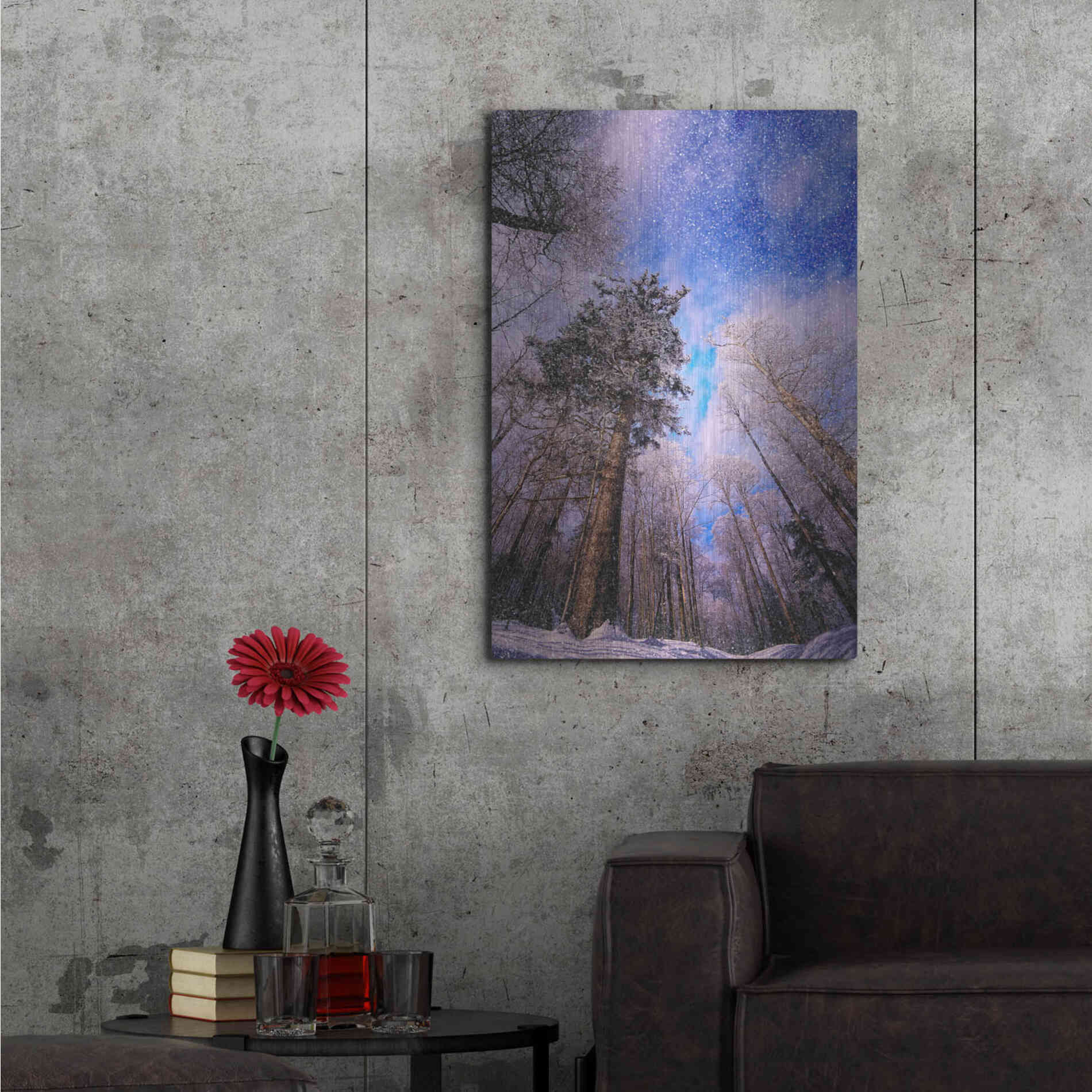 Luxe Metal Art 'Let it snow' by Philippe Sainte-Laudy, Metal Wall Art,24x36