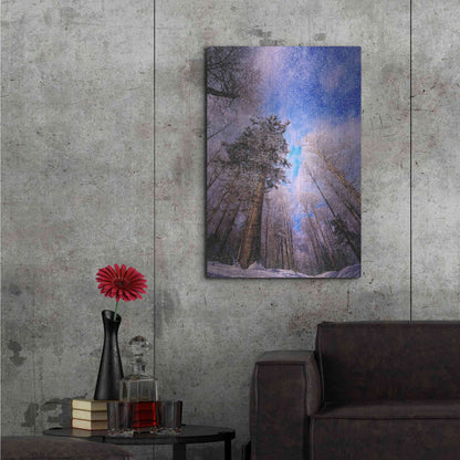 Luxe Metal Art 'Let it snow' by Philippe Sainte-Laudy, Metal Wall Art,24x36