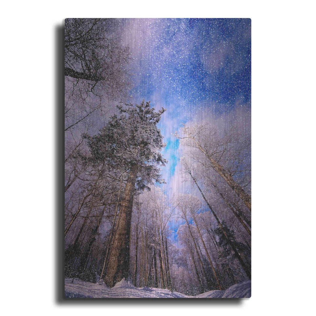 Luxe Metal Art 'Let it snow' by Philippe Sainte-Laudy, Metal Wall Art