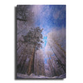 Luxe Metal Art 'Let it snow' by Philippe Sainte-Laudy, Metal Wall Art