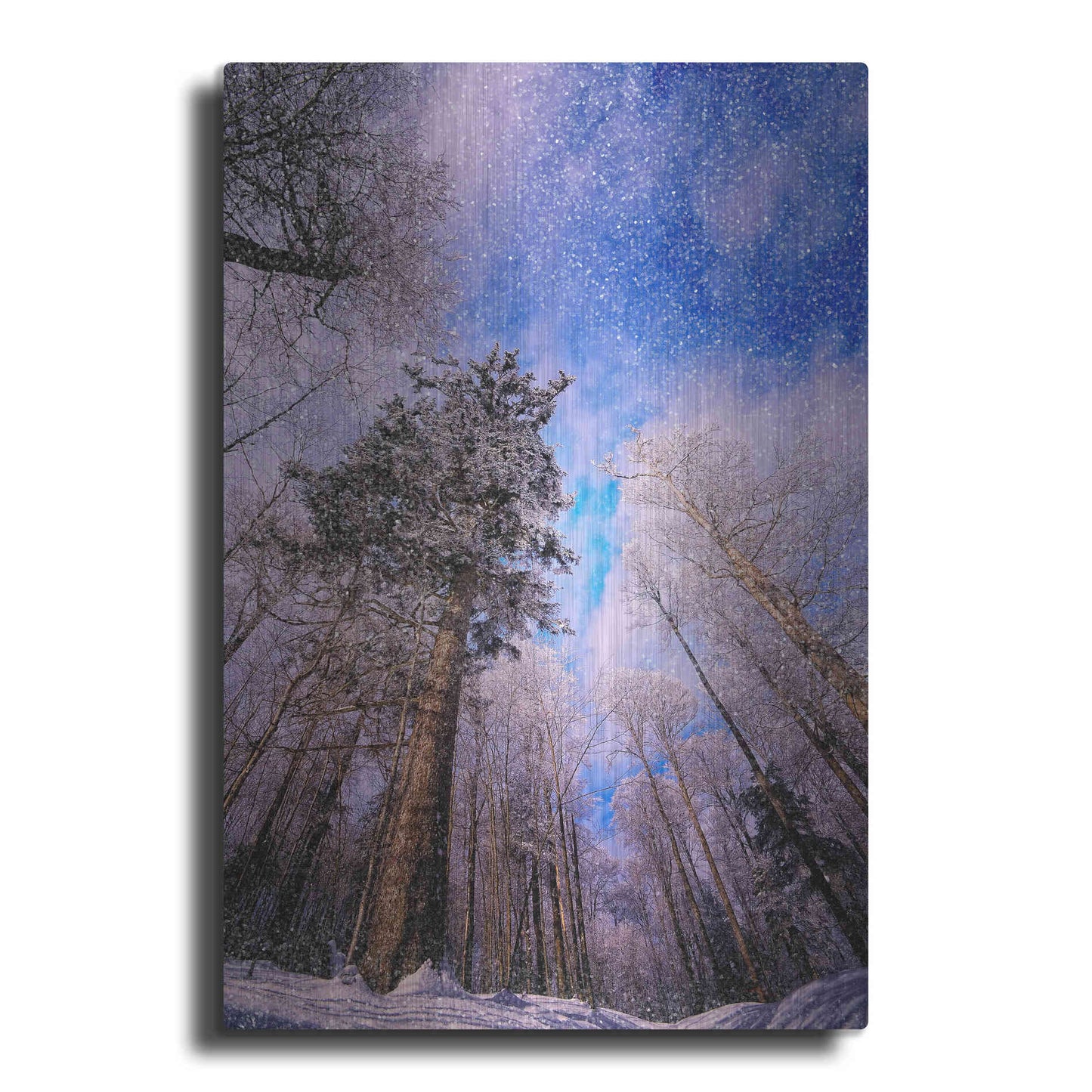 Luxe Metal Art 'Let it snow' by Philippe Sainte-Laudy, Metal Wall Art