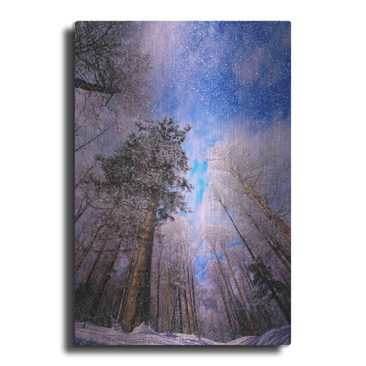 Luxe Metal Art 'Let it snow' by Philippe Sainte-Laudy, Metal Wall Art