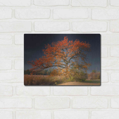 Luxe Metal Art 'Melancholy Tree' by Philippe Sainte-Laudy, Metal Wall Art,16x12