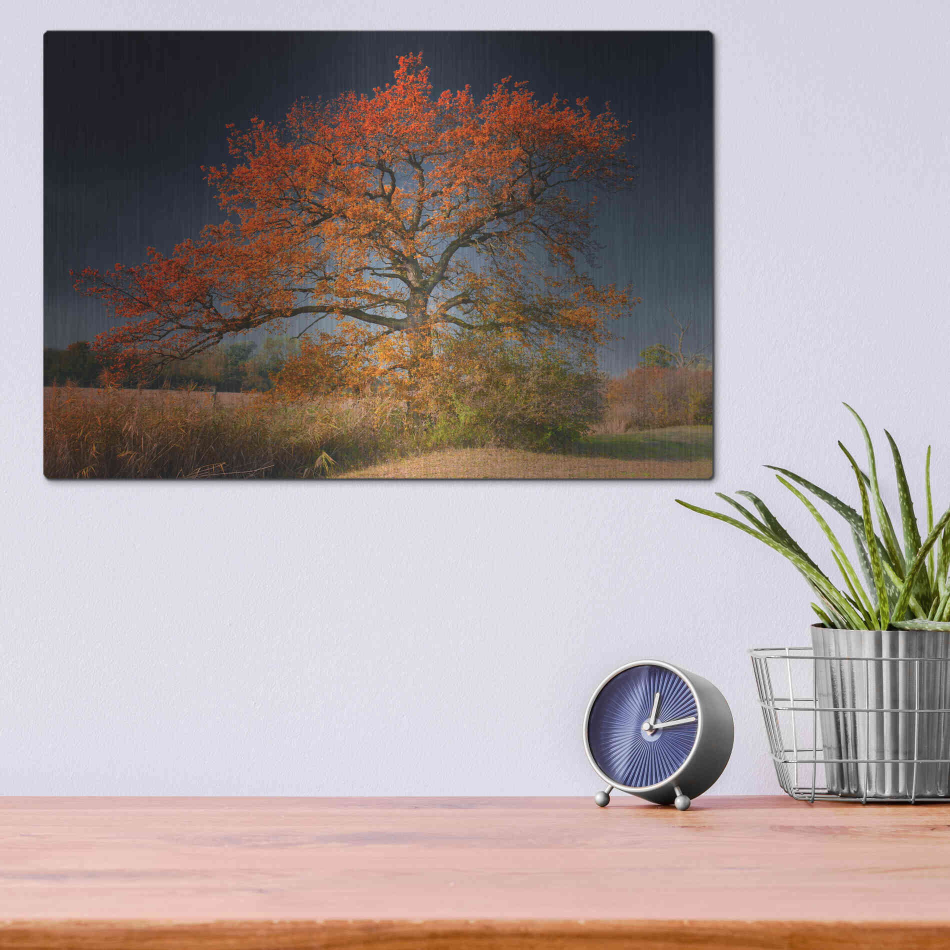 Luxe Metal Art 'Melancholy Tree' by Philippe Sainte-Laudy, Metal Wall Art,16x12