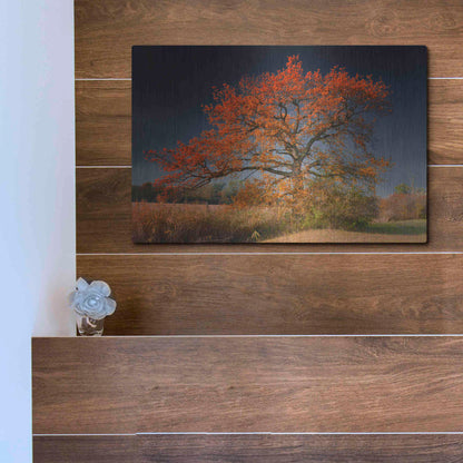 Luxe Metal Art 'Melancholy Tree' by Philippe Sainte-Laudy, Metal Wall Art,16x12