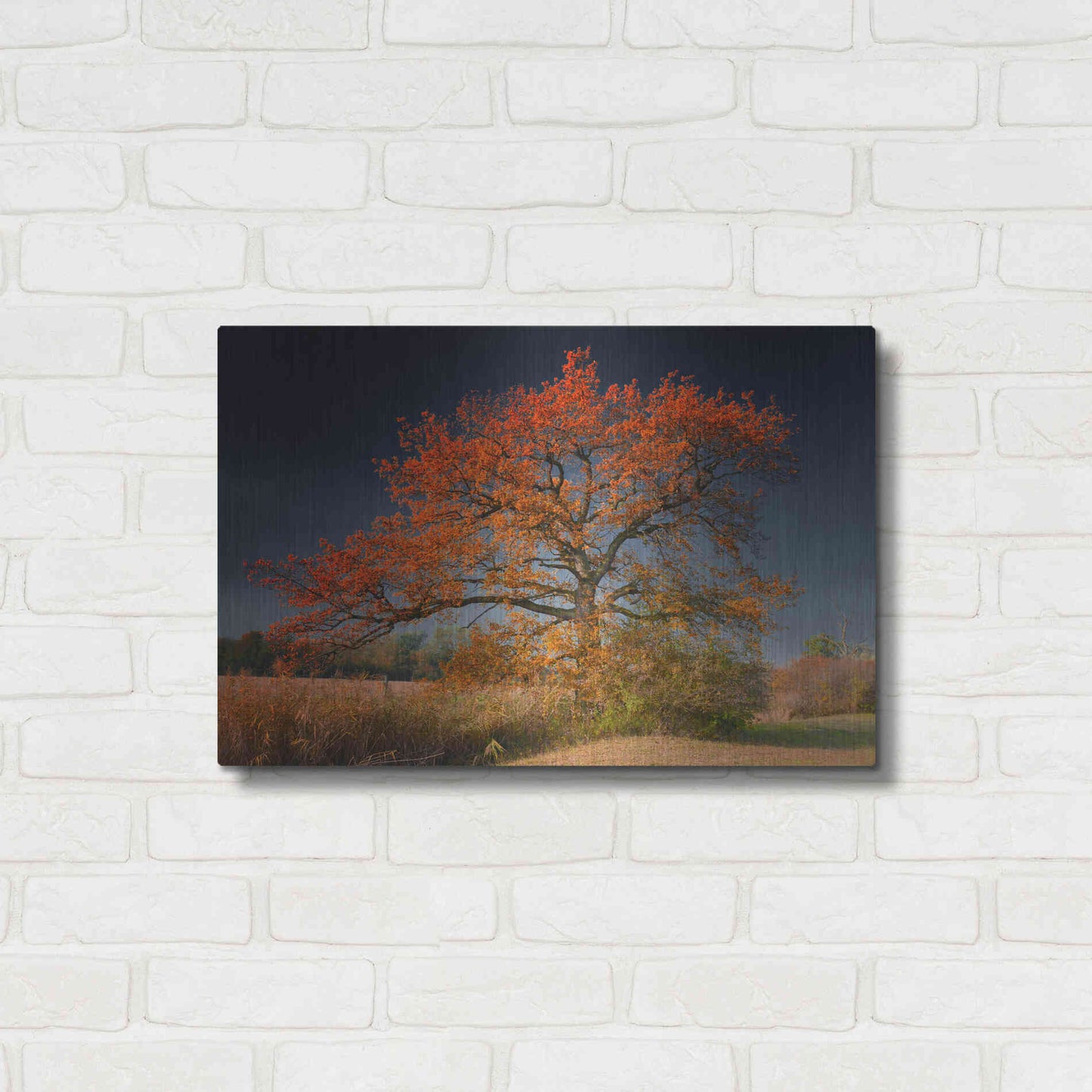 Luxe Metal Art 'Melancholy Tree' by Philippe Sainte-Laudy, Metal Wall Art,24x16